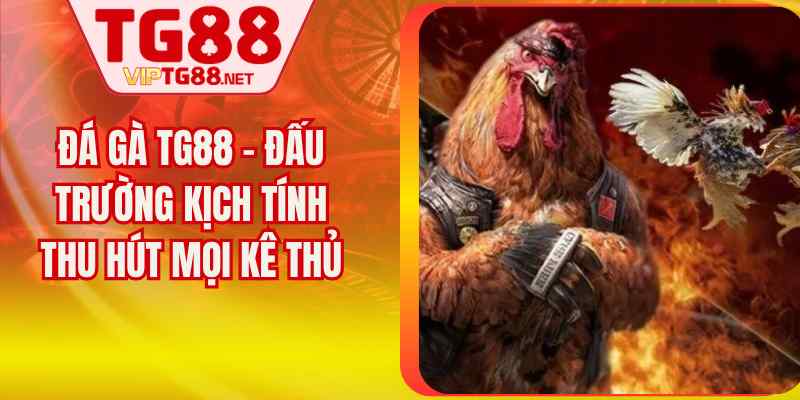 Đá Gà TG88 - Đấu Trường Kịch Tính Thu Hút Mọi Kê Thủ
