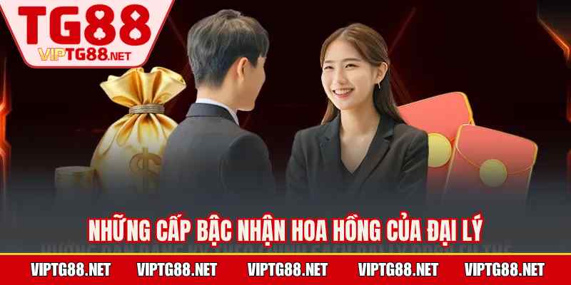 Những cấp bậc nhận hoa hồng của đại lý