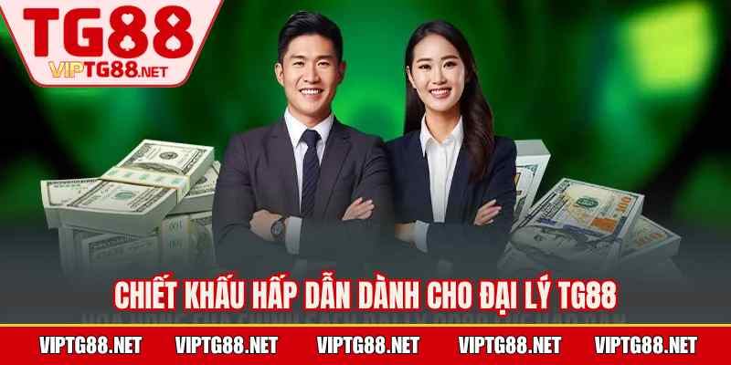 Chiết khấu hấp dẫn dành cho đại lý TG88