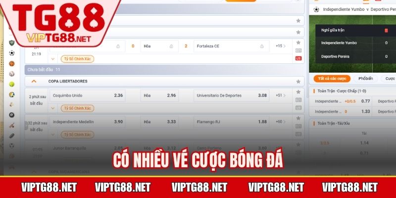 Có nhiều vé cược bóng đá