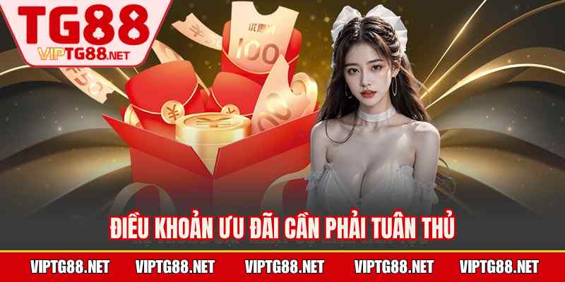 Điều khoản ưu đãi cần phải tuân thủ