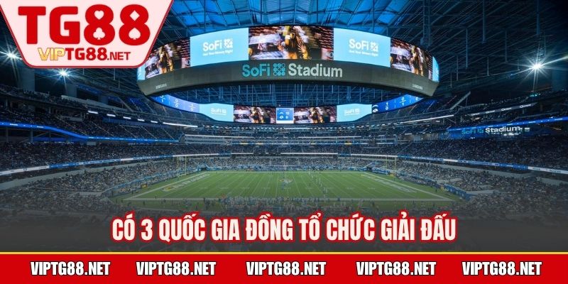Có 3 quốc gia đồng tổ chức giải đấu